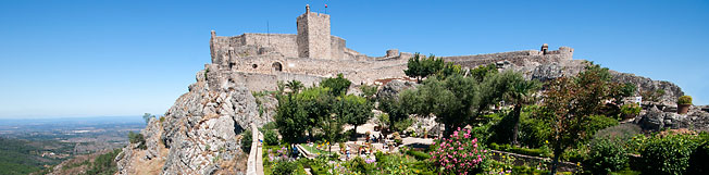Car Rental