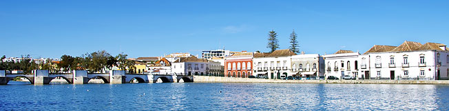 Car Rental