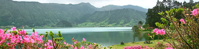 Car Rental